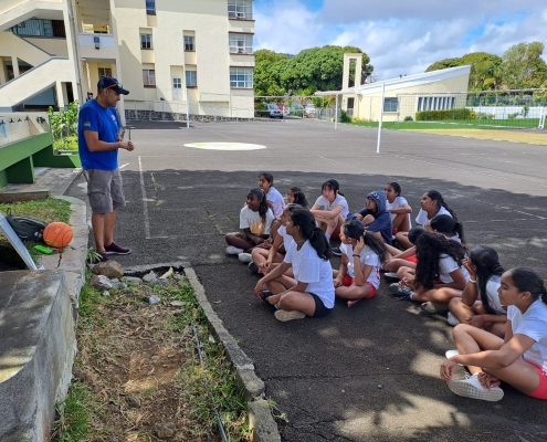 Sitdown Netball Lesson