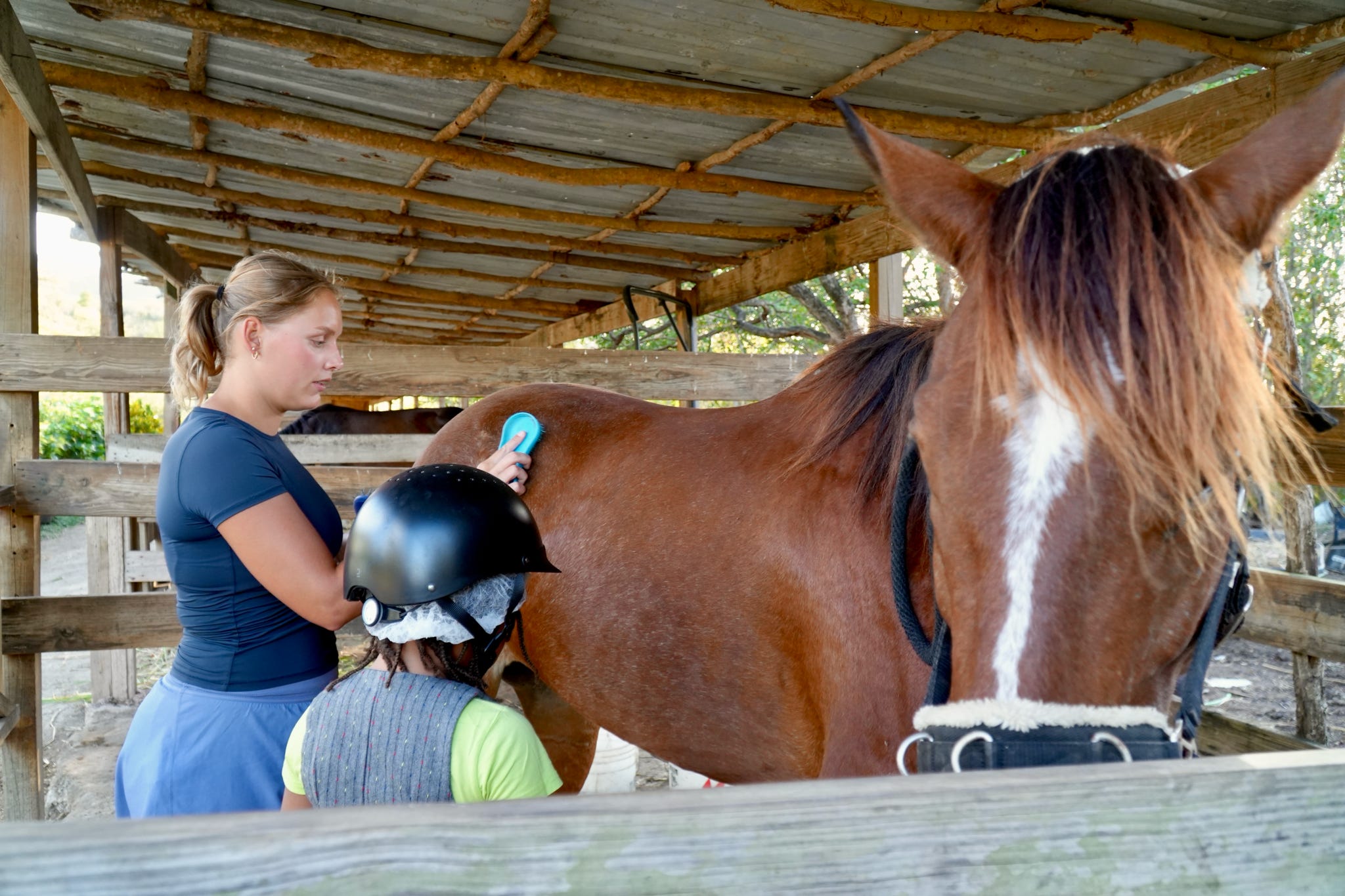Equine Therapy