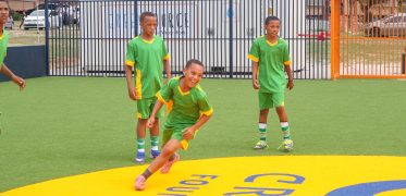 eco-turf
