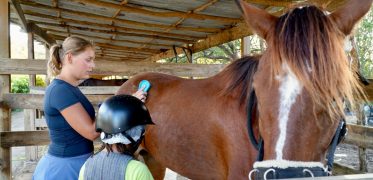 Equine Therapy